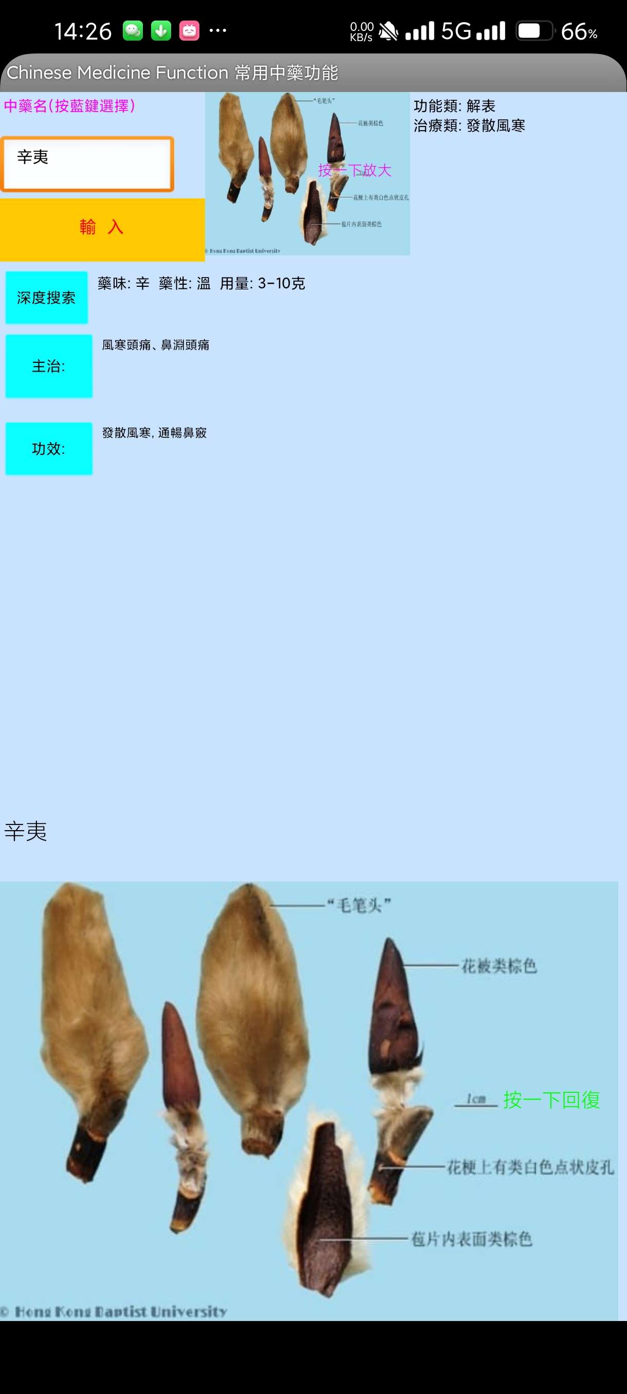 【分享】 中藥2.0🔥认识中药的好帮手🔥无广！傻瓜操作