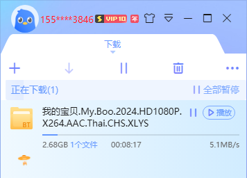 【合集】PC迅雷不限速版🔥页面简约，电脑工具必备，解锁年费会员