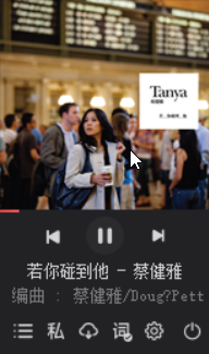 【分享】网易云FM v1.7🔥一款播放网易云音乐歌单的小工具