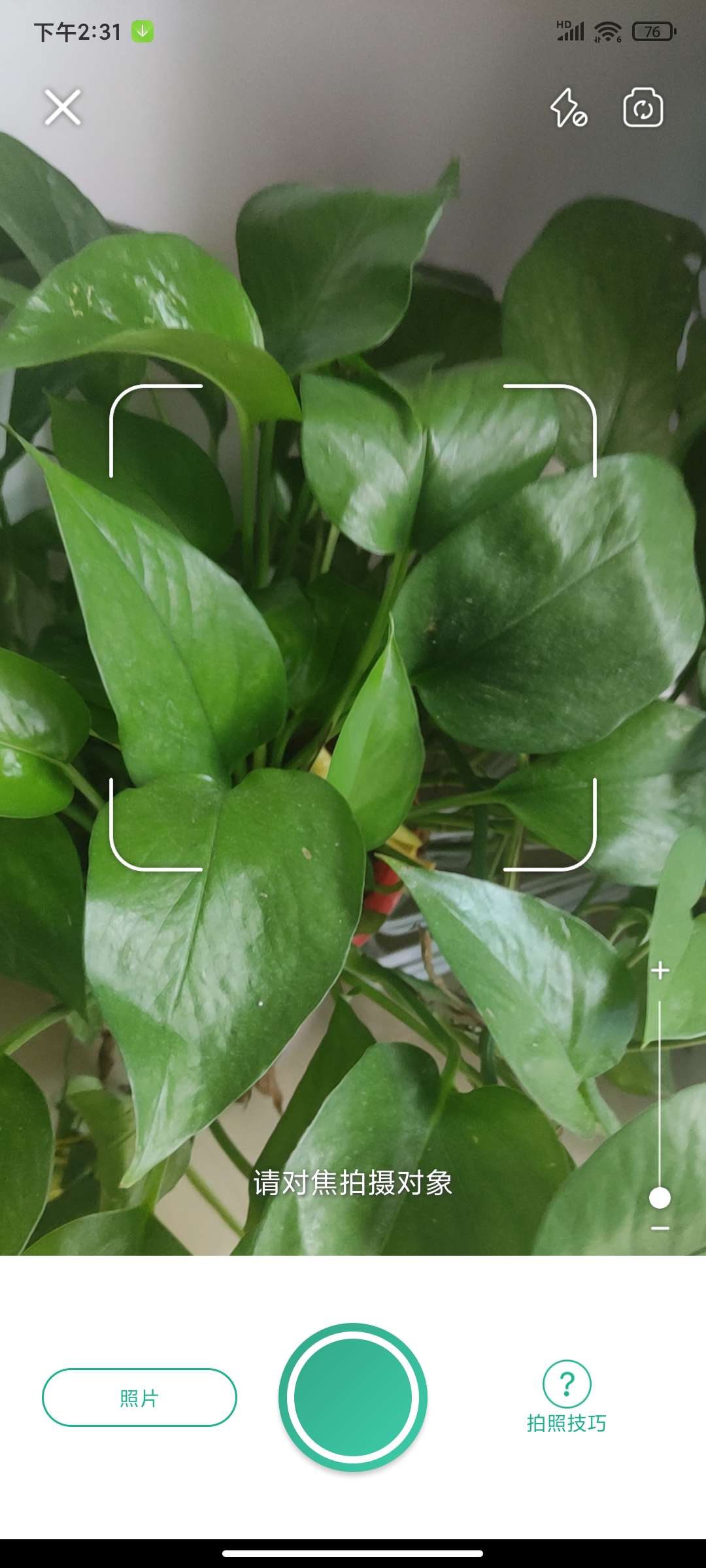 【分享】Picture植物识别v4.4.1秒识别🏀诊断植物疾病