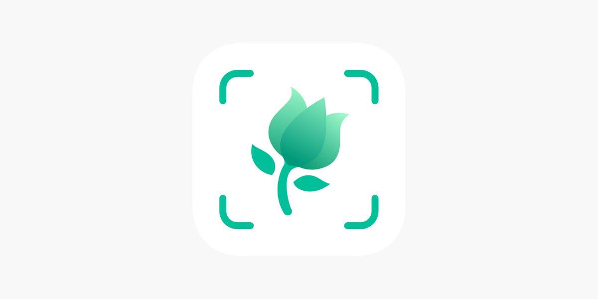 【分享】Picture植物识别v4.4.1秒识别🏀诊断植物疾病