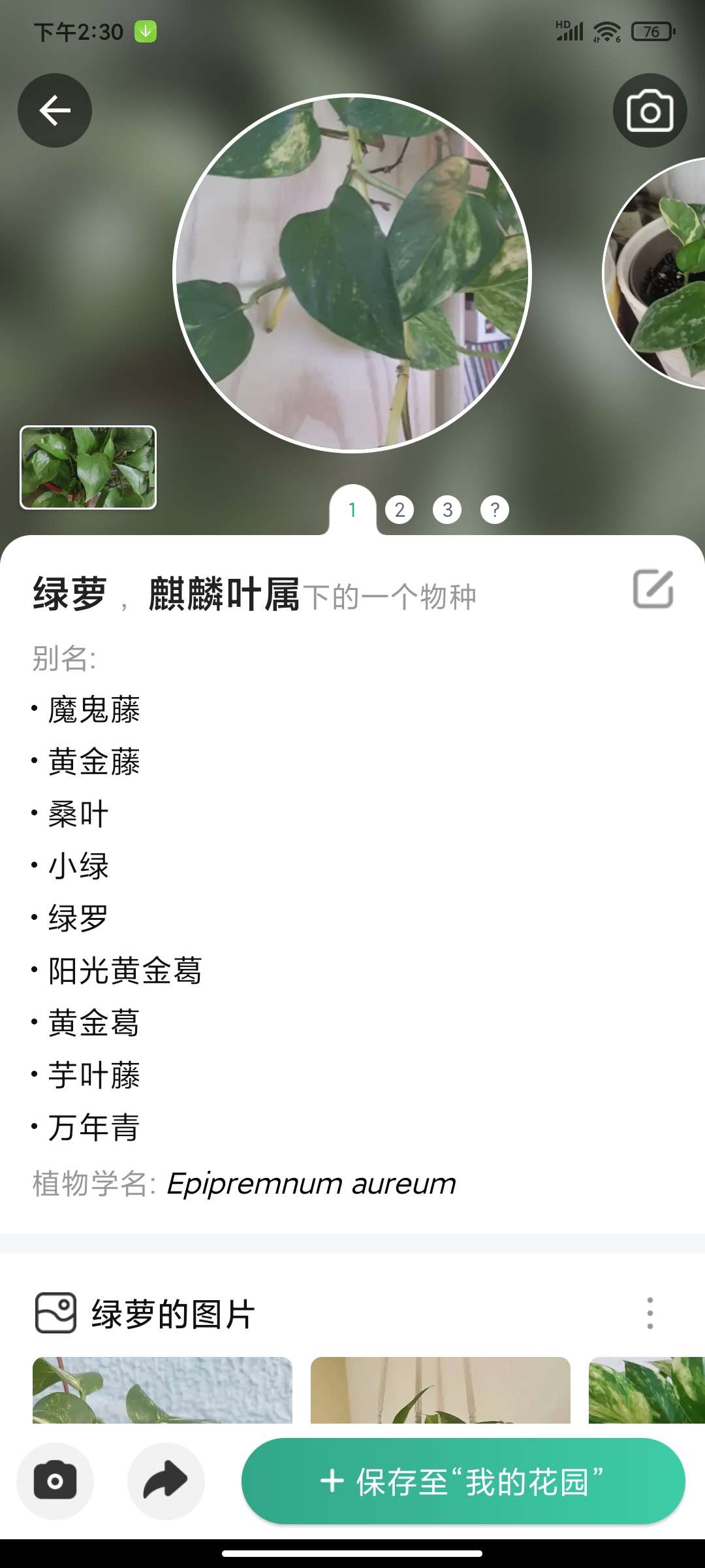 【分享】Picture植物识别v4.4.1秒识别🏀诊断植物疾病