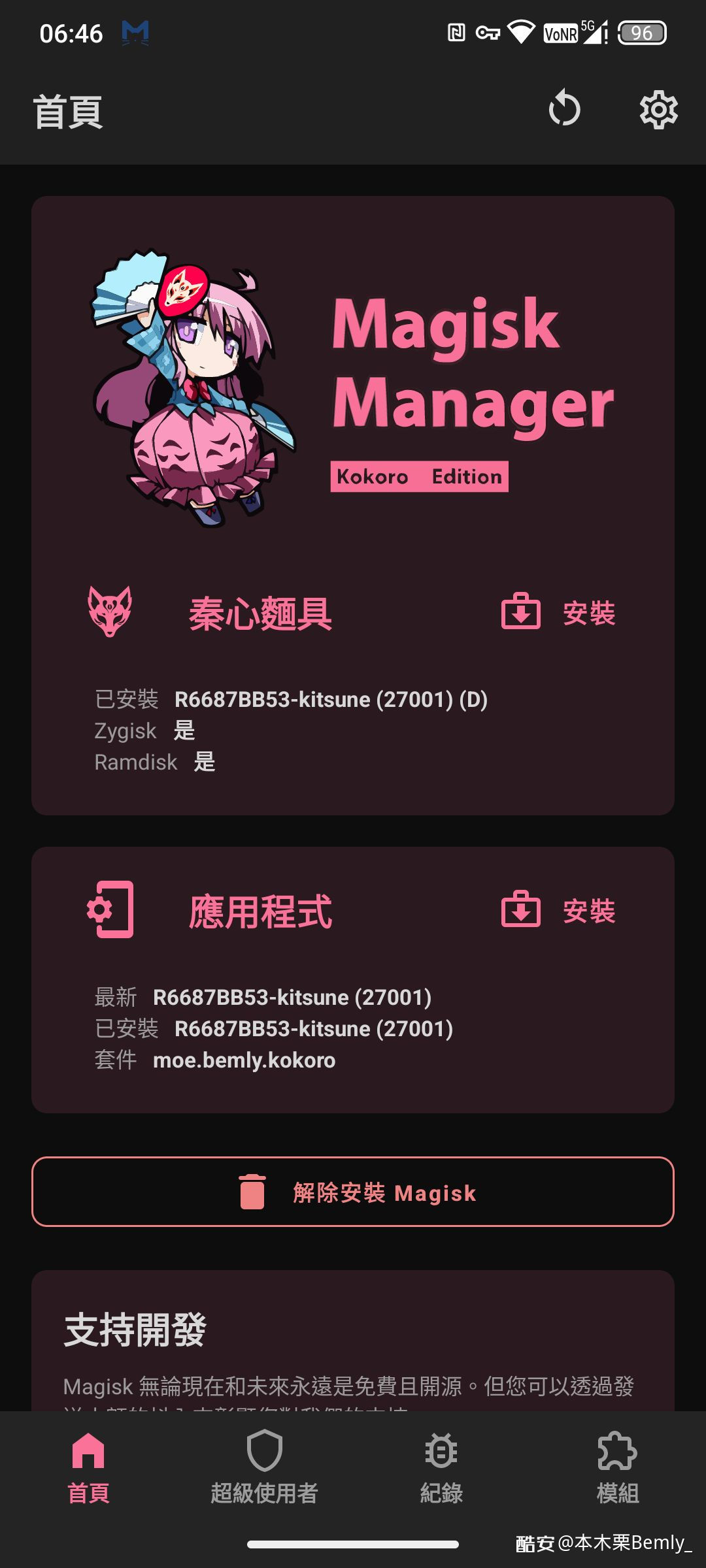 【考核】Kitsune Mask轻度美化 v27001
