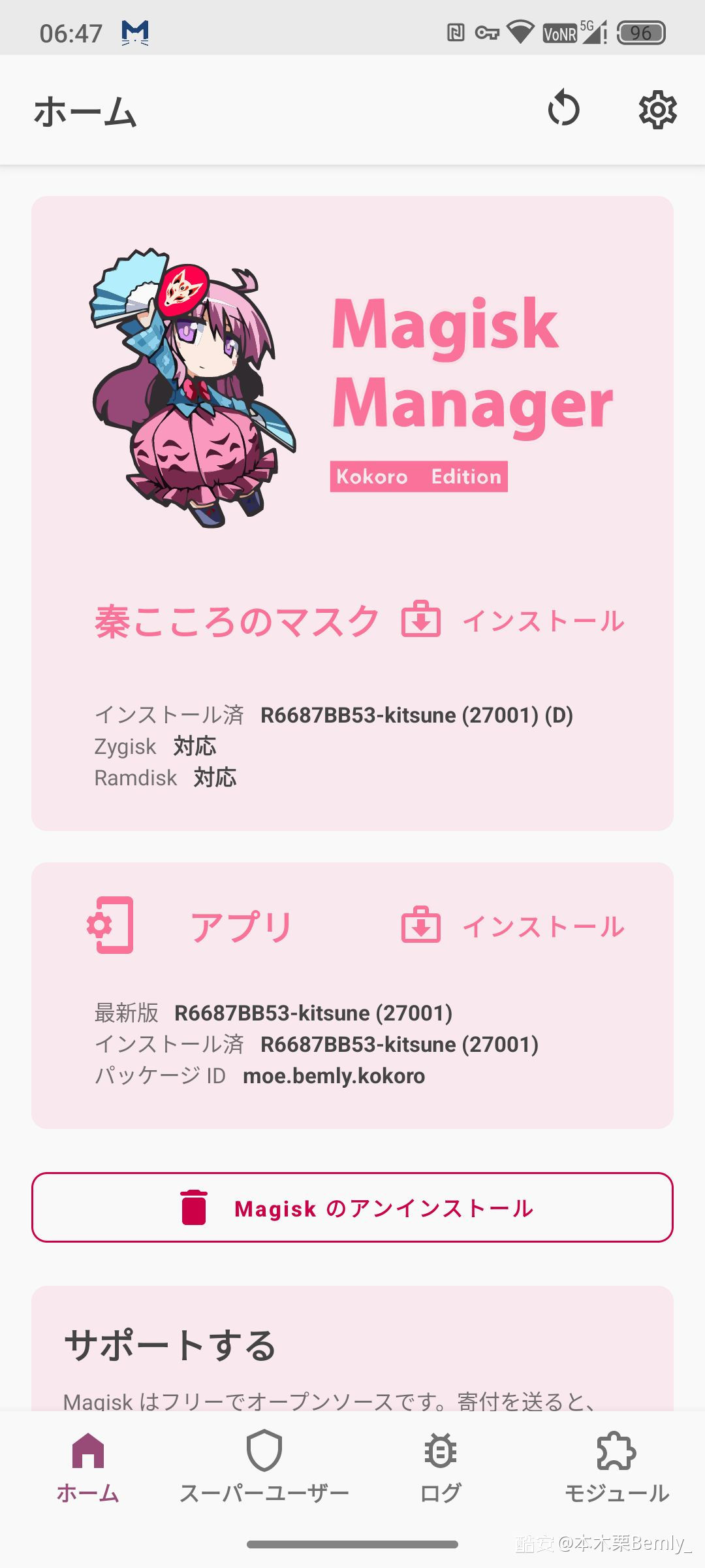 【考核】Kitsune Mask轻度美化 v27001