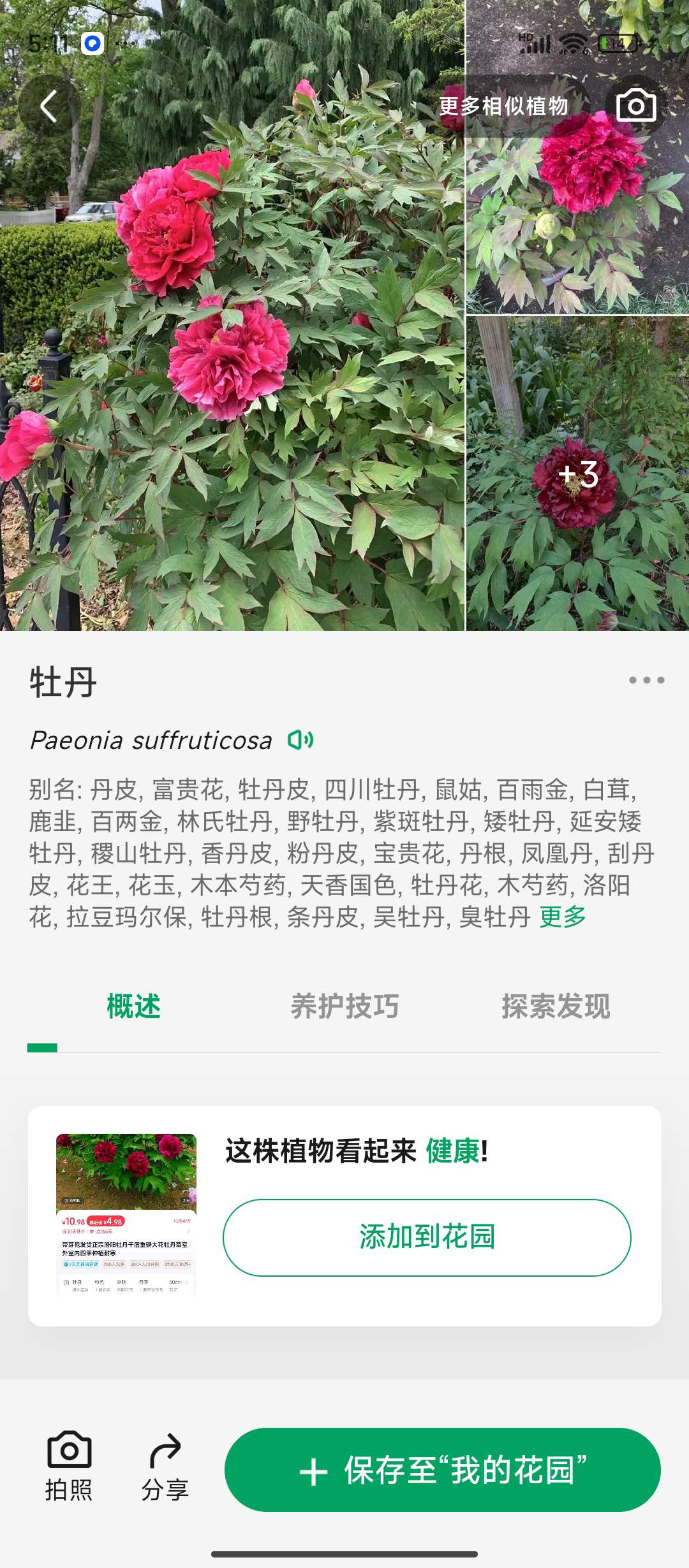 【分享】植物识别软件3.2.8