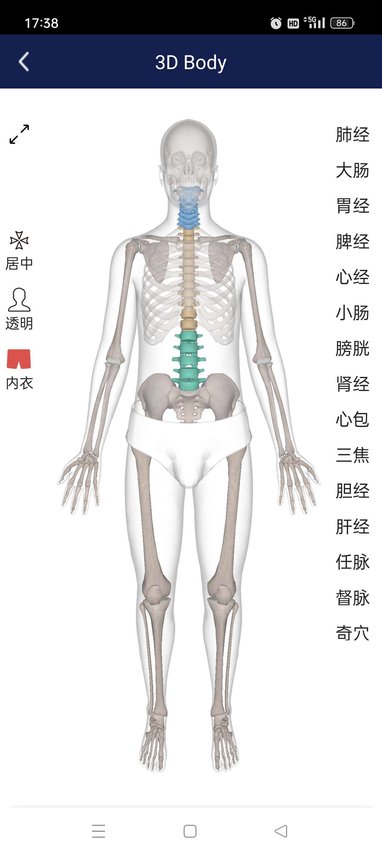 【原创修改】3D人体解剖图谱🔥专业解剖知识/模型🔥解锁会员